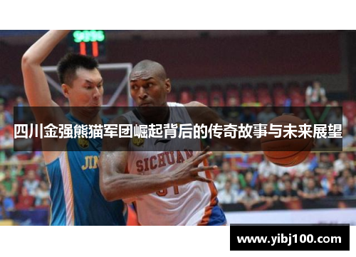 四川金强熊猫军团崛起背后的传奇故事与未来展望